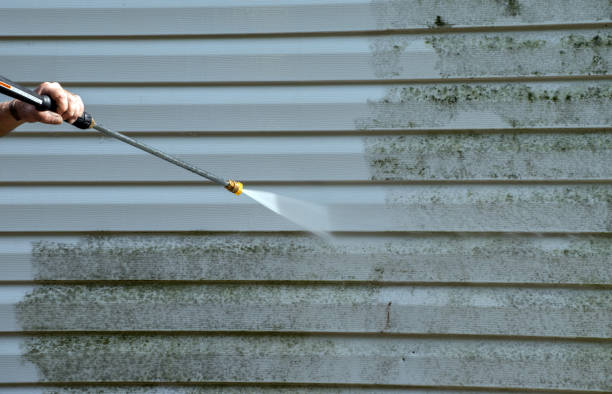 Best Roof Power Washing Services  in Haines, AK